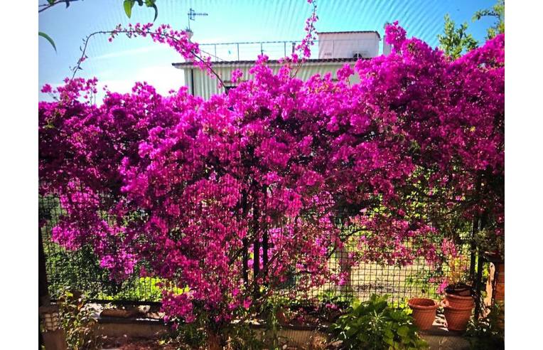 appartamento in vendita a Lerici in zona Muggiano