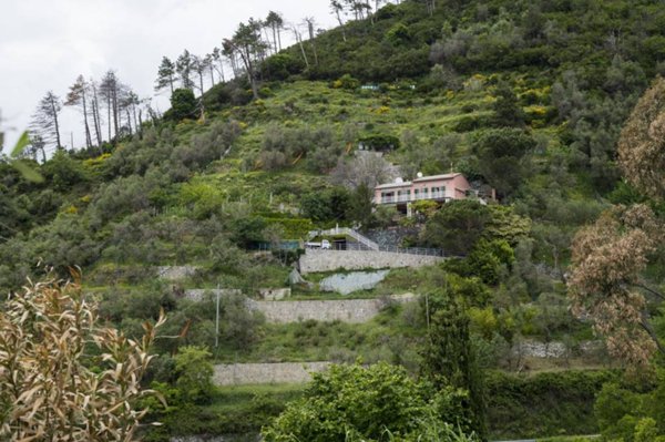 casa indipendente in vendita a Levanto