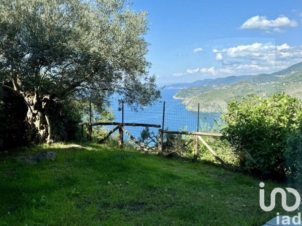 appartamento in vendita a Levanto in zona Mesco