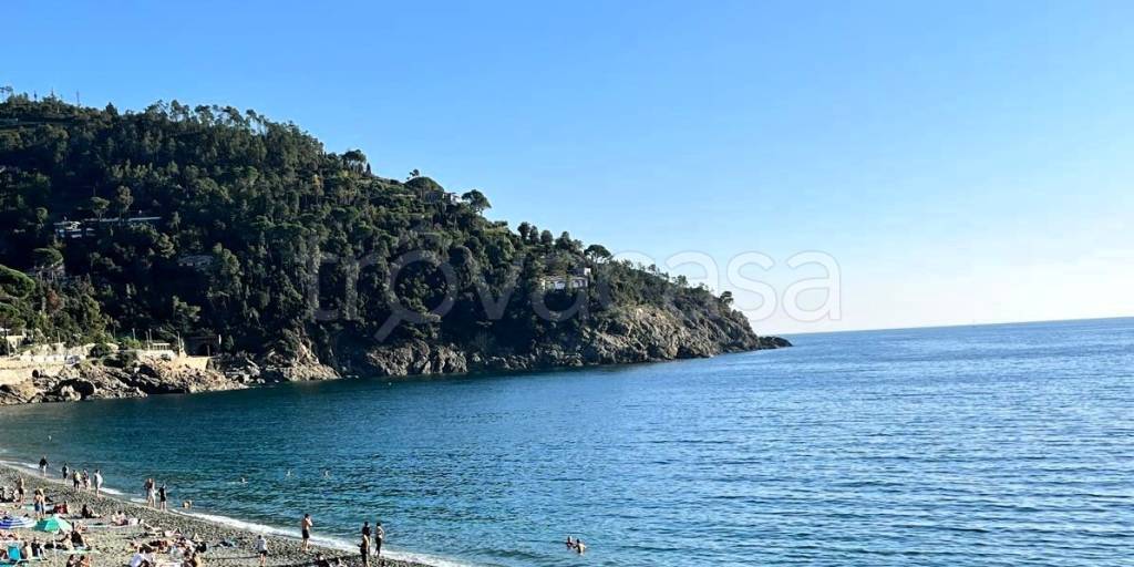 trivano in vendita a Levanto