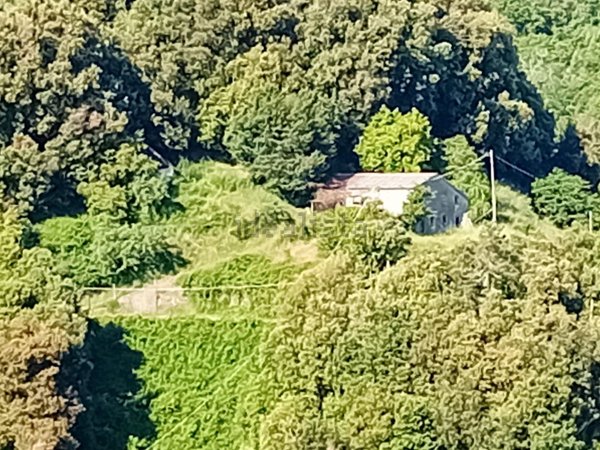 casa indipendente in vendita a Levanto