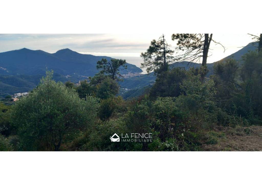 casa indipendente in vendita a Levanto in zona Casella