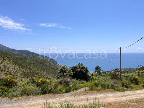 terreno agricolo in vendita a Levanto in zona Mesco