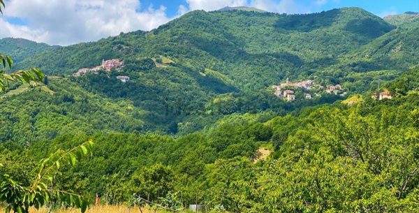 quadrivano in vendita a Maissana