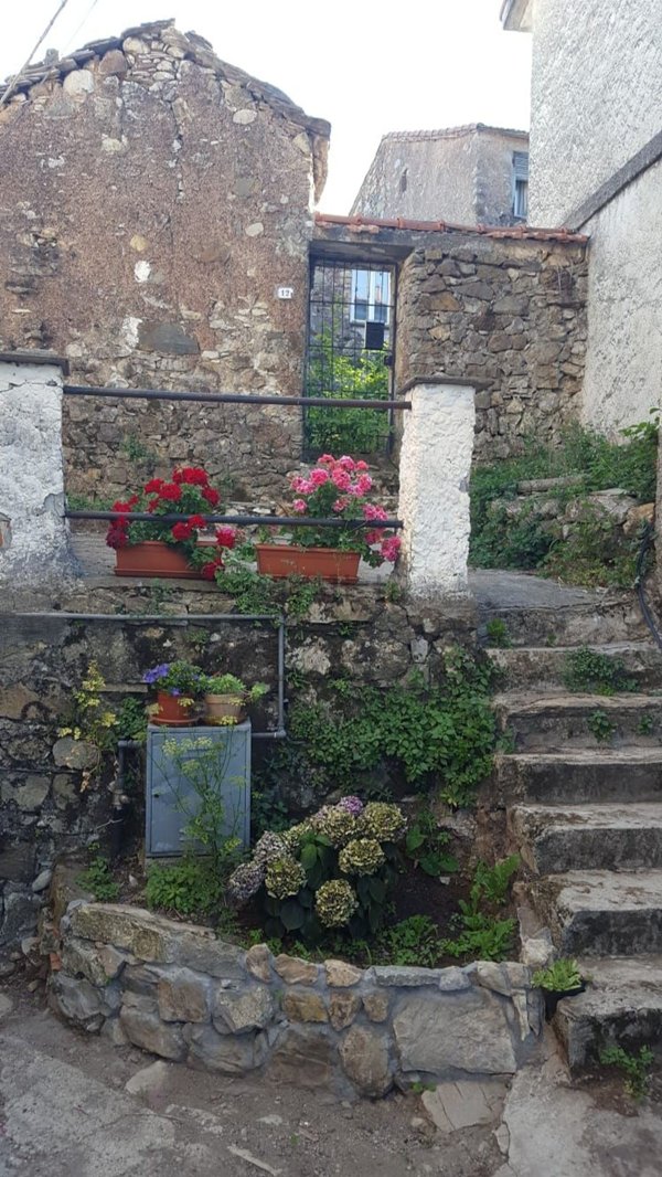 esavano in vendita a Maissana