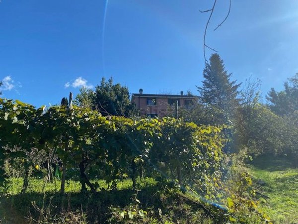 casa indipendente in vendita a Maissana in zona Chiama