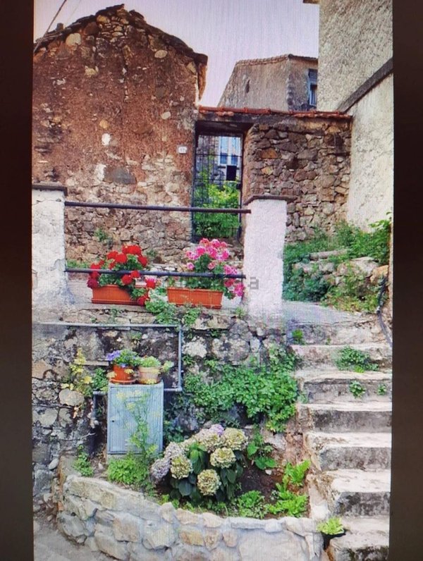 esavano in vendita a Maissana in zona Campore