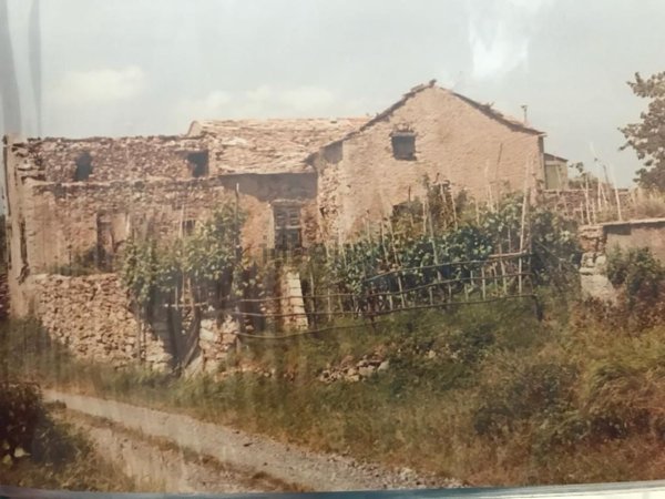 pentavano in vendita a Maissana in zona Tavarone