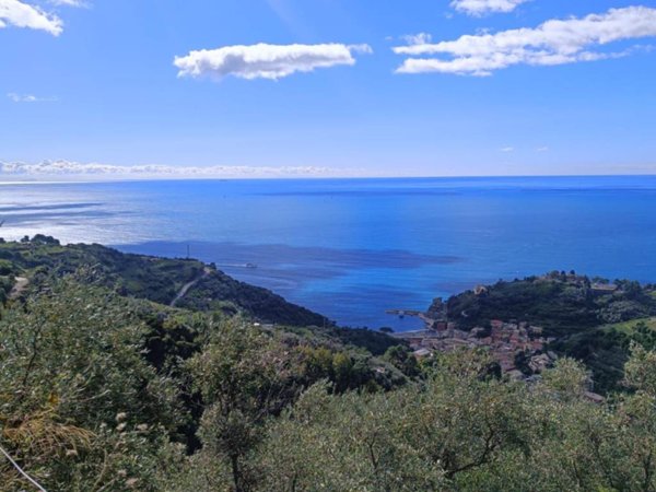 terreno agricolo in vendita a Monterosso al Mare