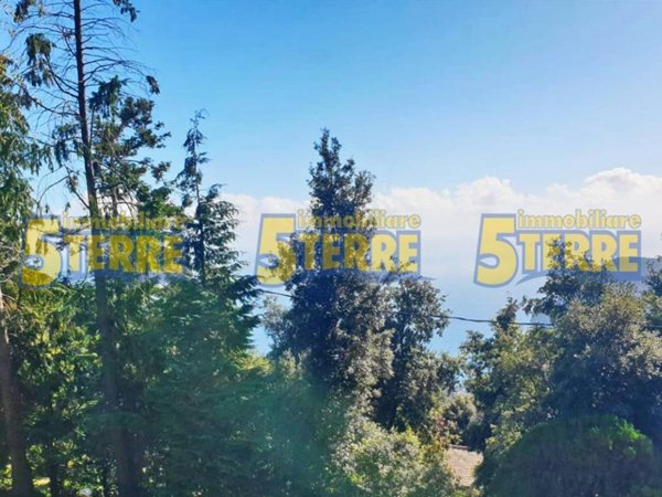 casa indipendente in vendita a Monterosso al Mare