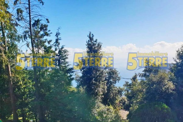 appartamento in vendita a Monterosso al Mare
