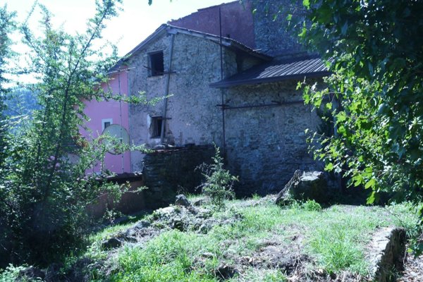 esavano in vendita a Monterosso al Mare
