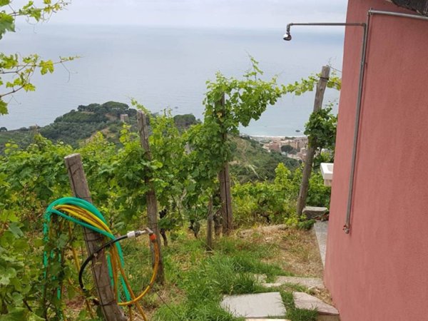 casa indipendente in vendita a Monterosso al Mare