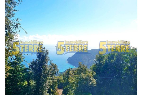 casa indipendente in vendita a Monterosso al Mare