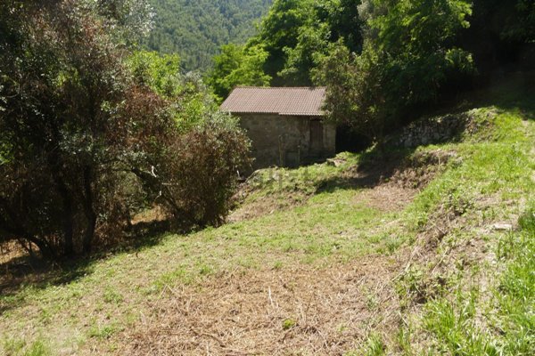 casale in vendita a Monterosso al Mare