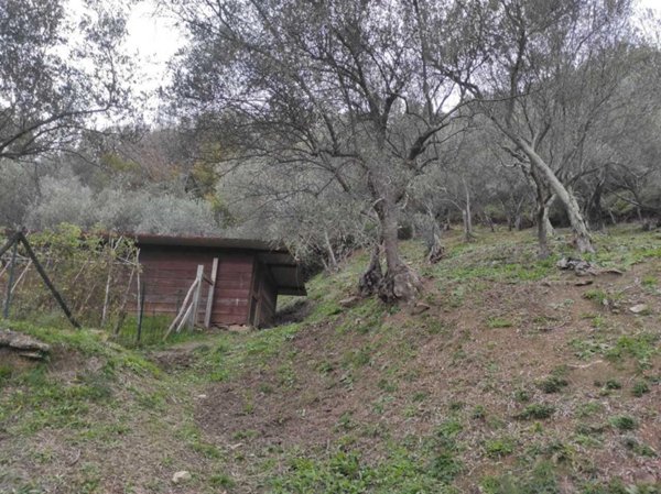 appartamento in vendita a Luni in zona Casano
