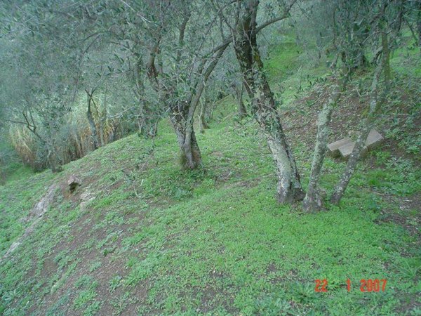 monolocale in vendita a Luni