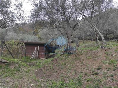 terreno agricolo in vendita a Luni in zona Casano