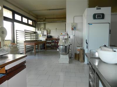 negozio in vendita a Luni