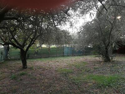 terreno edificabile in vendita a Luni in zona Casano