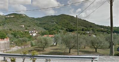 casa indipendente in vendita a Luni in zona Casano