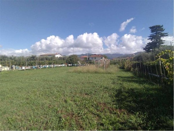 terreno agricolo in vendita a Luni