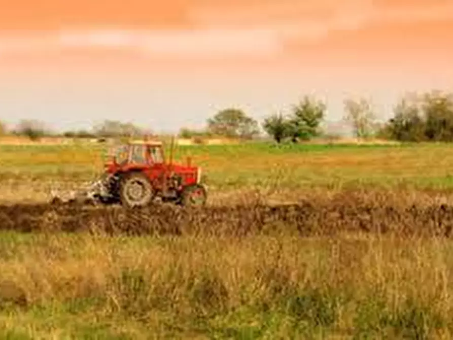 terreno agricolo in vendita a Luni