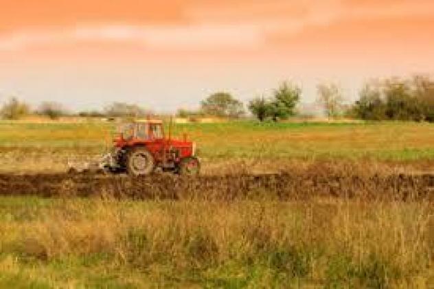 terreno agricolo in vendita a Luni