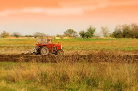 terreno agricolo in vendita a Luni