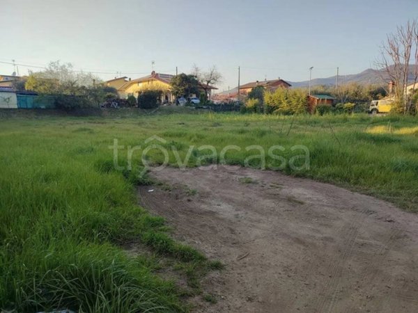 terreno agricolo in vendita a Luni