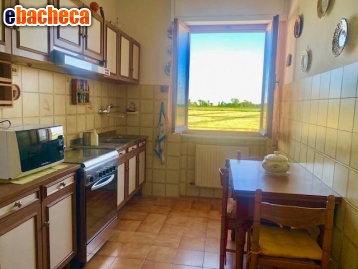 appartamento in vendita a Luni