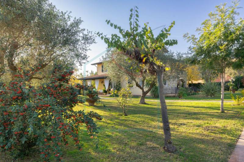 casa indipendente in vendita a Luni in zona Isola