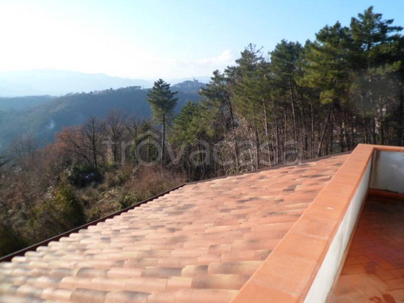 casa indipendente in vendita a Luni in zona Dogana