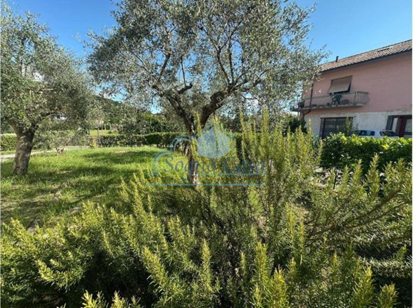 appartamento in vendita a Luni