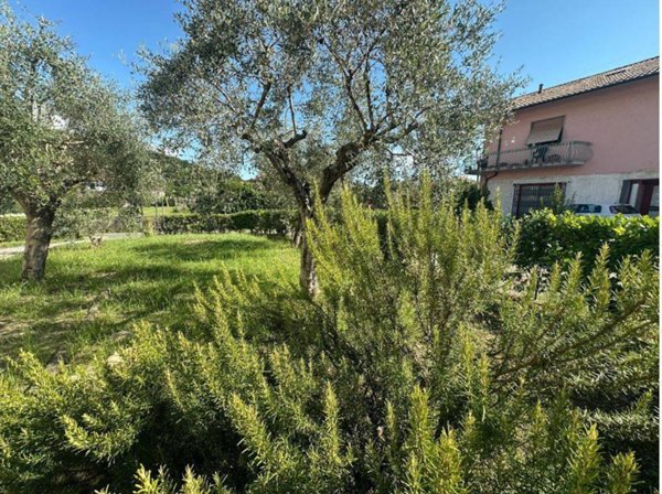 appartamento in vendita a Luni in zona Isola