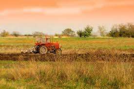 terreno agricolo in vendita a Luni