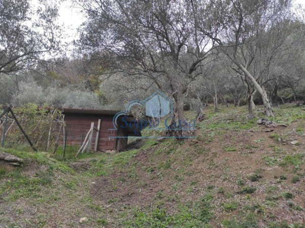 terreno agricolo in vendita a Luni in zona Casano