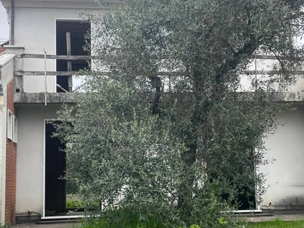 casa indipendente in vendita a Luni in zona Dogana