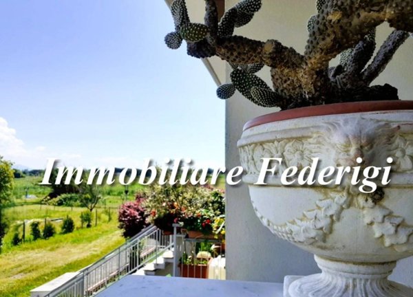 casa indipendente in vendita a Luni