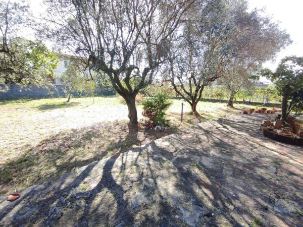 casa indipendente in vendita a Luni in zona Dogana
