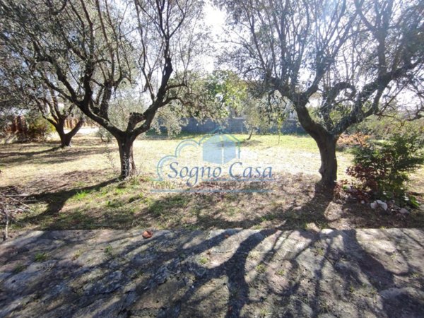 casa indipendente in vendita a Luni in zona Dogana