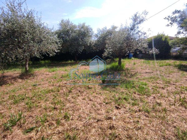 terreno agricolo in vendita a Luni