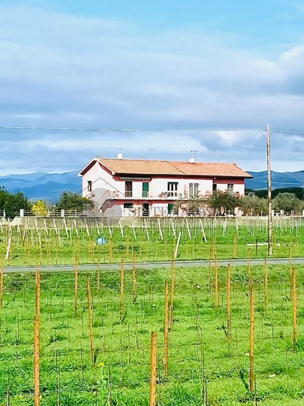 appartamento in vendita a Luni