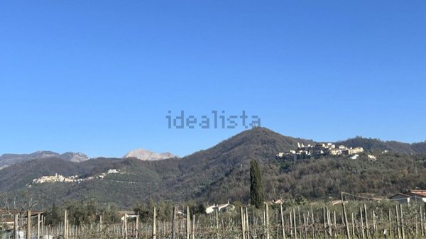 immagine annuncio 0 di 15