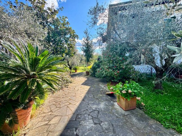 casa indipendente in vendita a Luni in zona Dogana