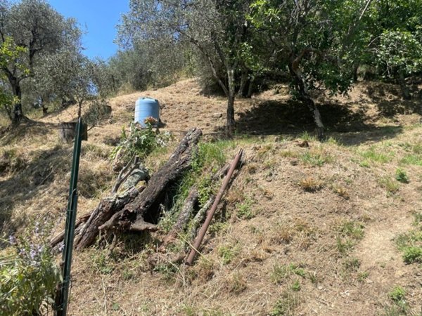 casa indipendente in vendita a Luni in zona Dogana