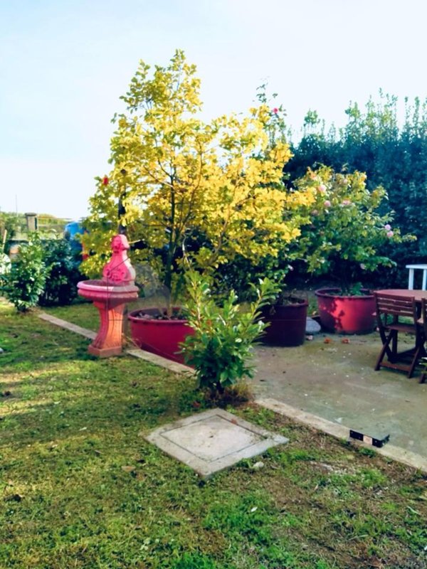 appartamento in vendita a Luni
