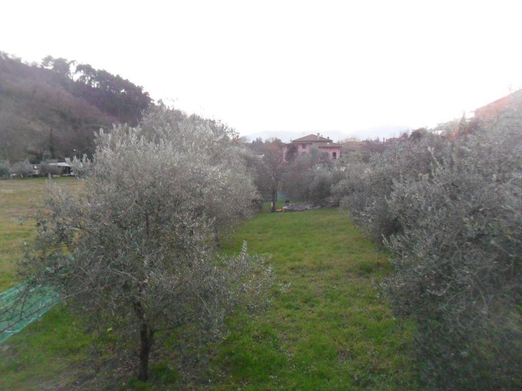 appartamento in vendita a Luni in zona Casano