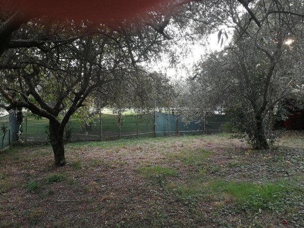terreno edificabile in vendita a Luni