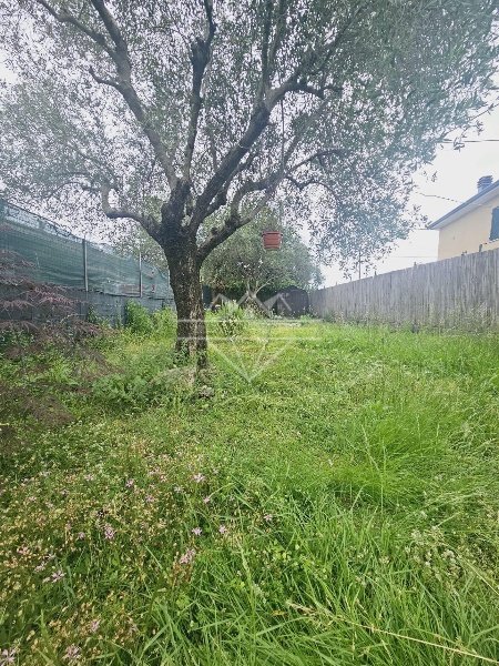 casa indipendente in vendita a Luni in zona Isola